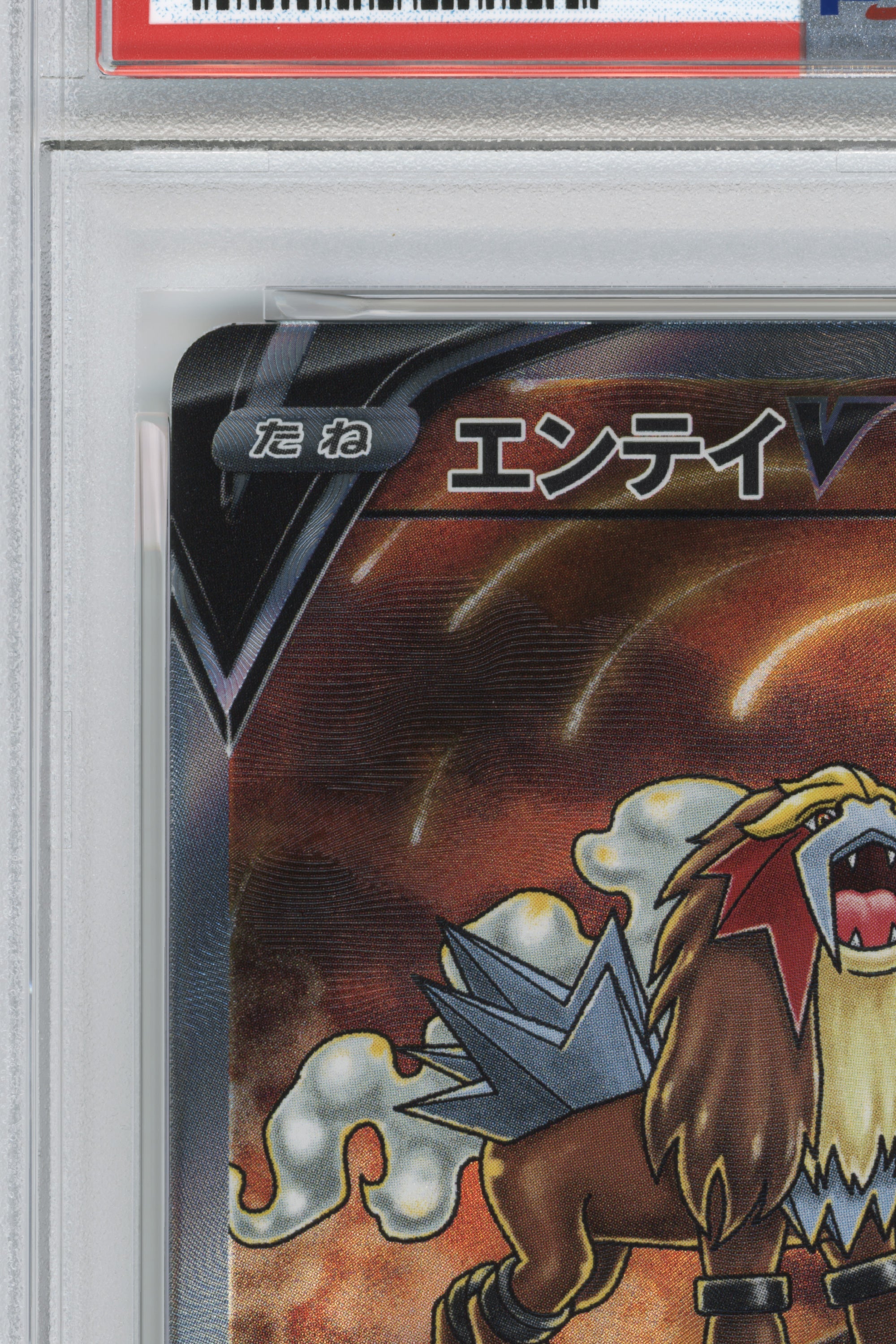 Entei V – Vstar Universe (213/172) (JP)