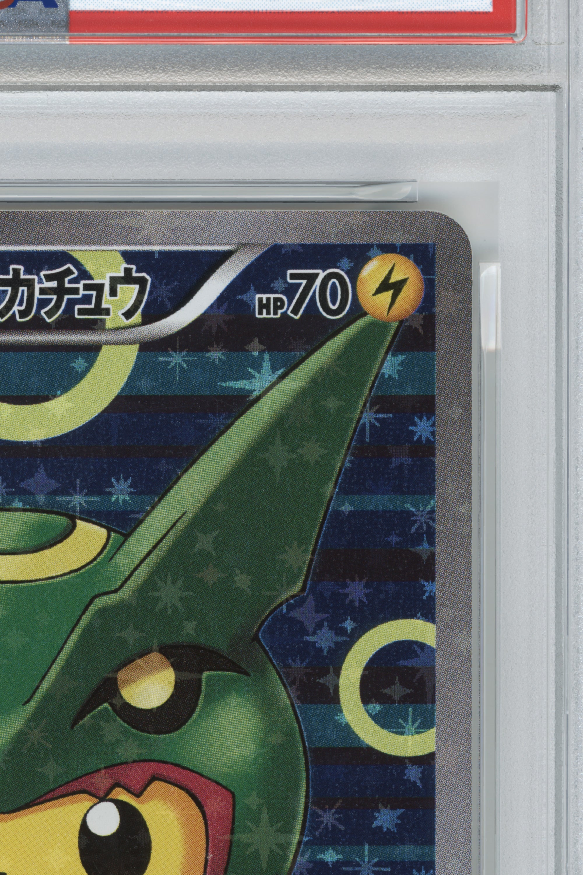 Poncho-Wearing Pikachu – Rayquaza Poncho Wearing Pikachu Box (230/XY-P) (JP)