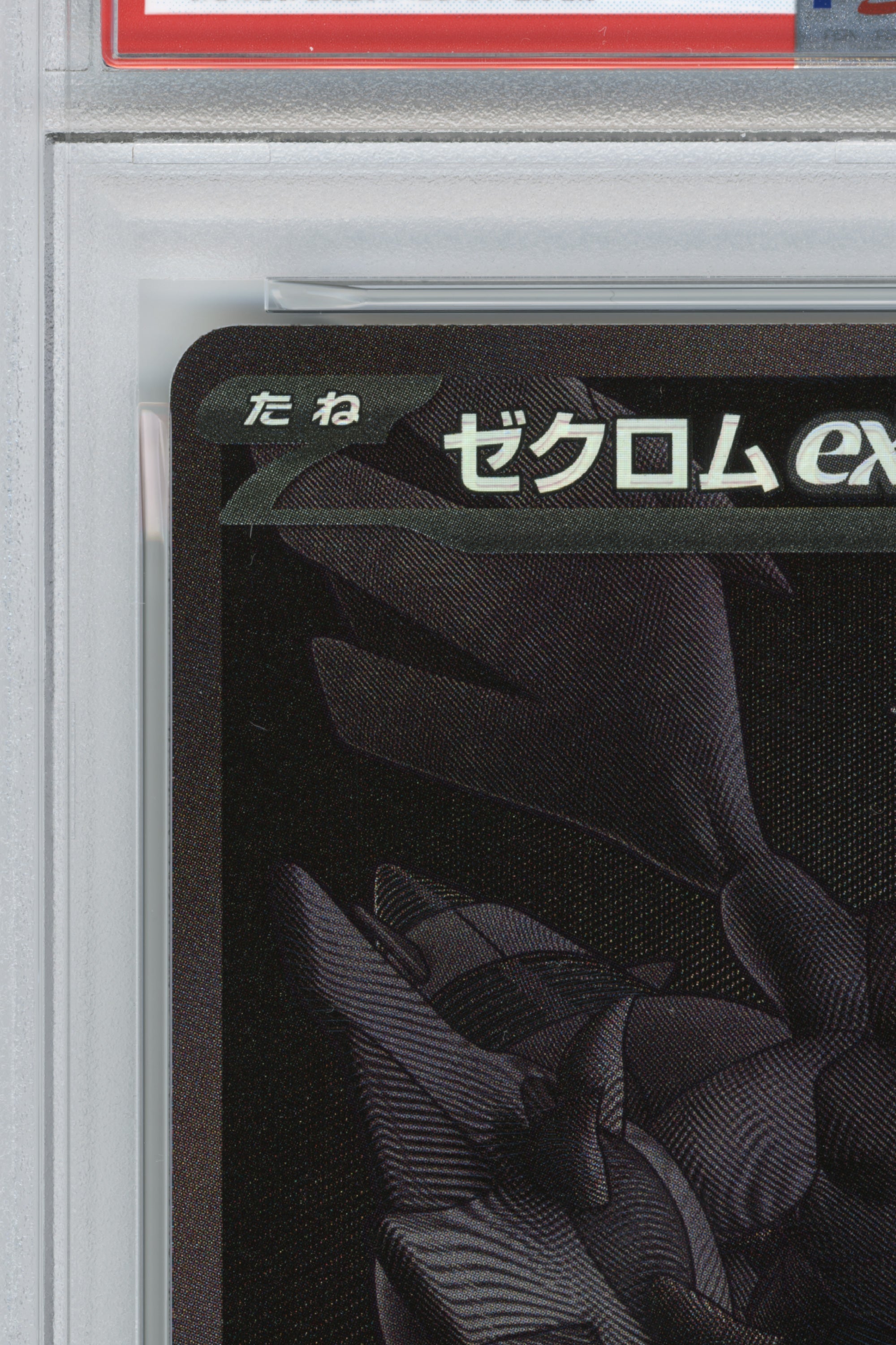 Zekrom EX – BW Rare (174/086) (JP)