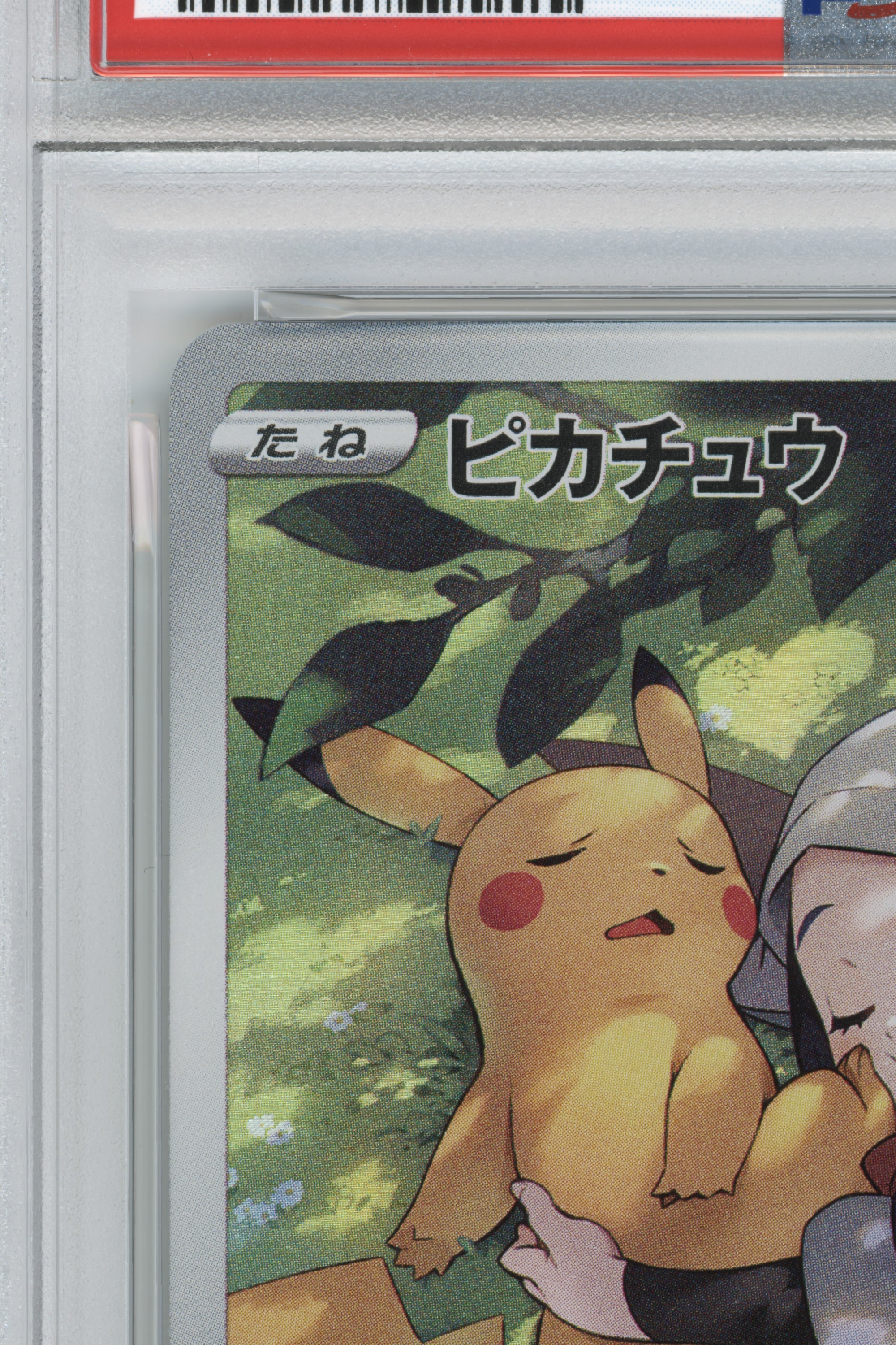 Pikachu – Dark Phantasma (073/071) (JP)