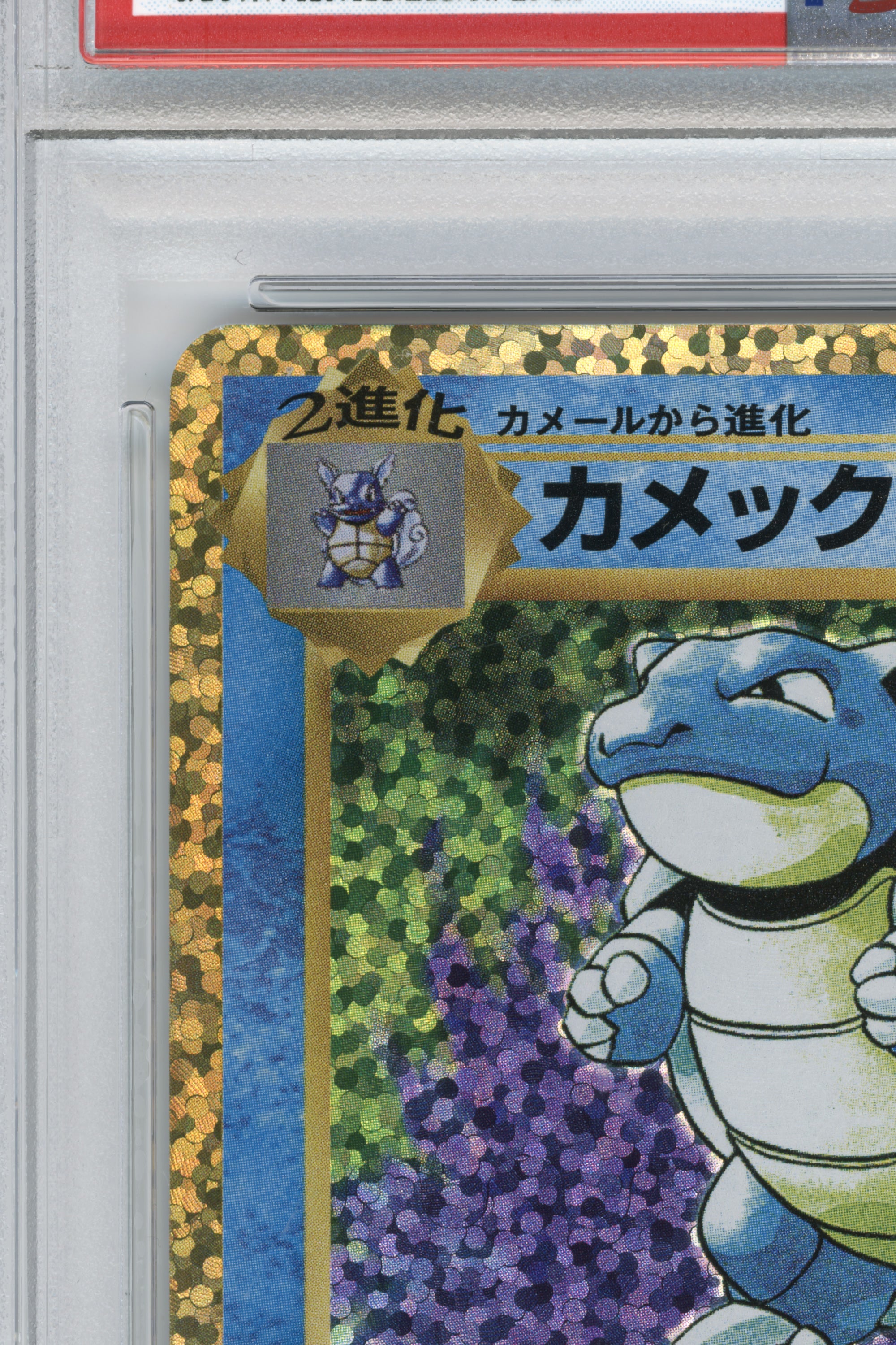Blastoise Holo – Promo Card Pack 25th Anniversary Edition (003/025) (JP)