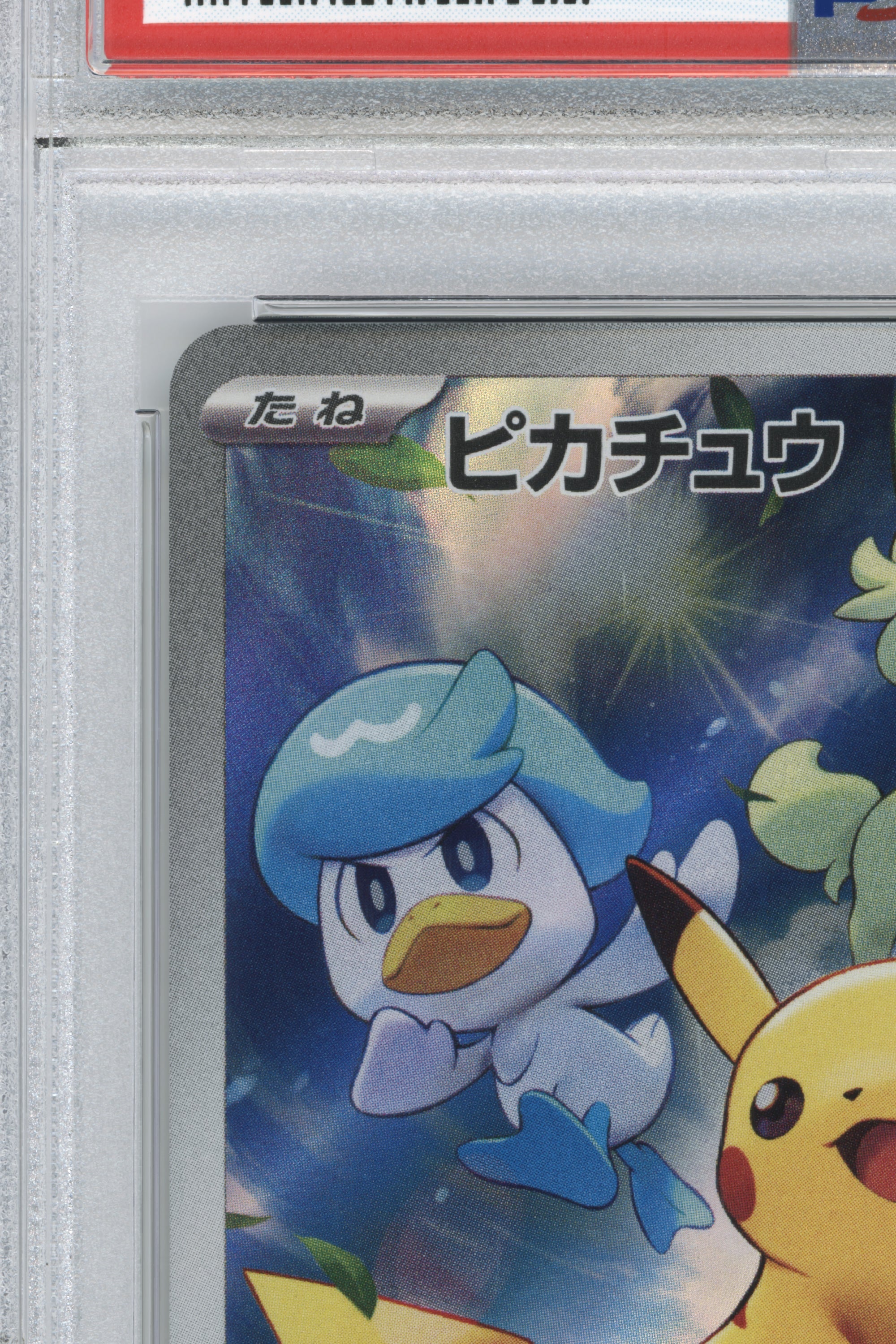 Pikachu – Scarlet & Violet Pre-Order (001/SV-P) (JP)