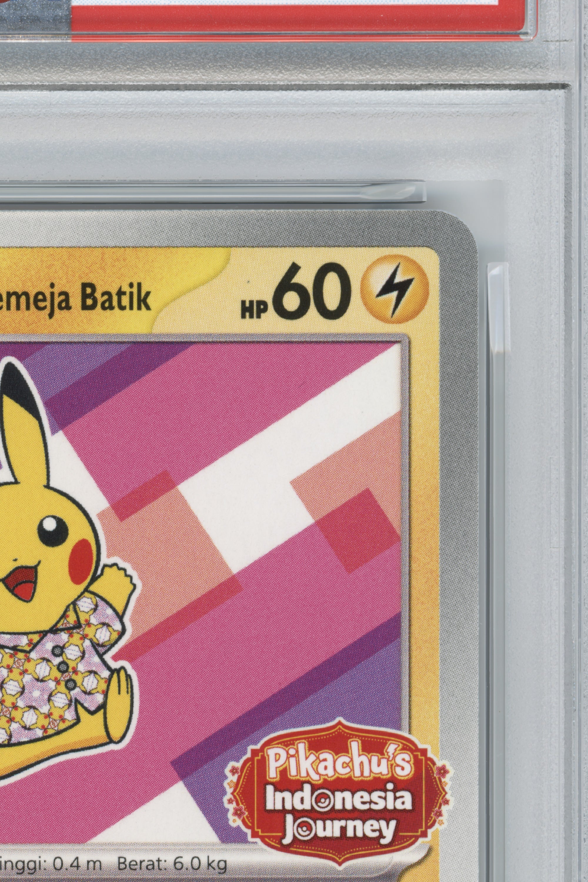 Pikachu in Batik Shirt – Pikachu's Indonesia Journey Campaig (190/SV-P) (EN)