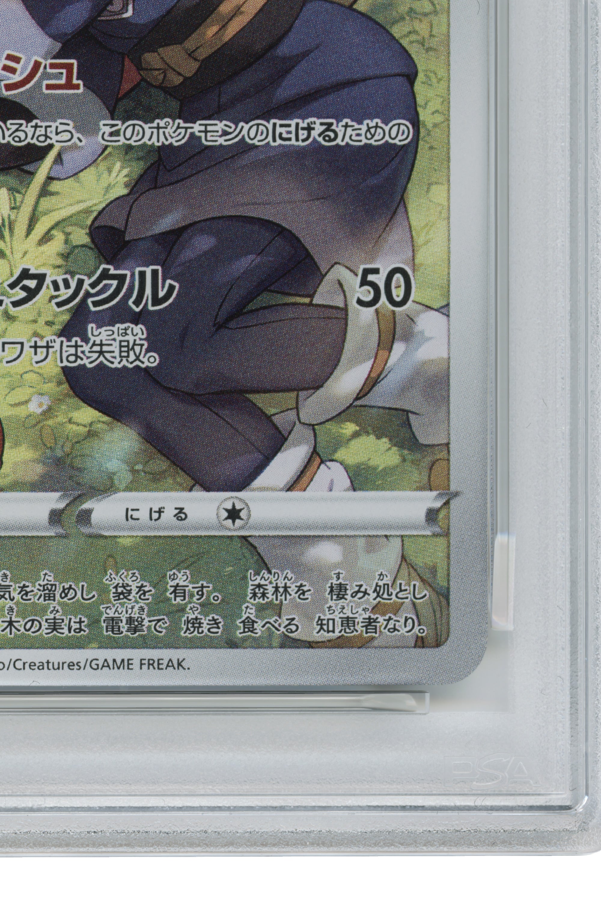 Pikachu – Dark Phantasma (073/071) (JP)