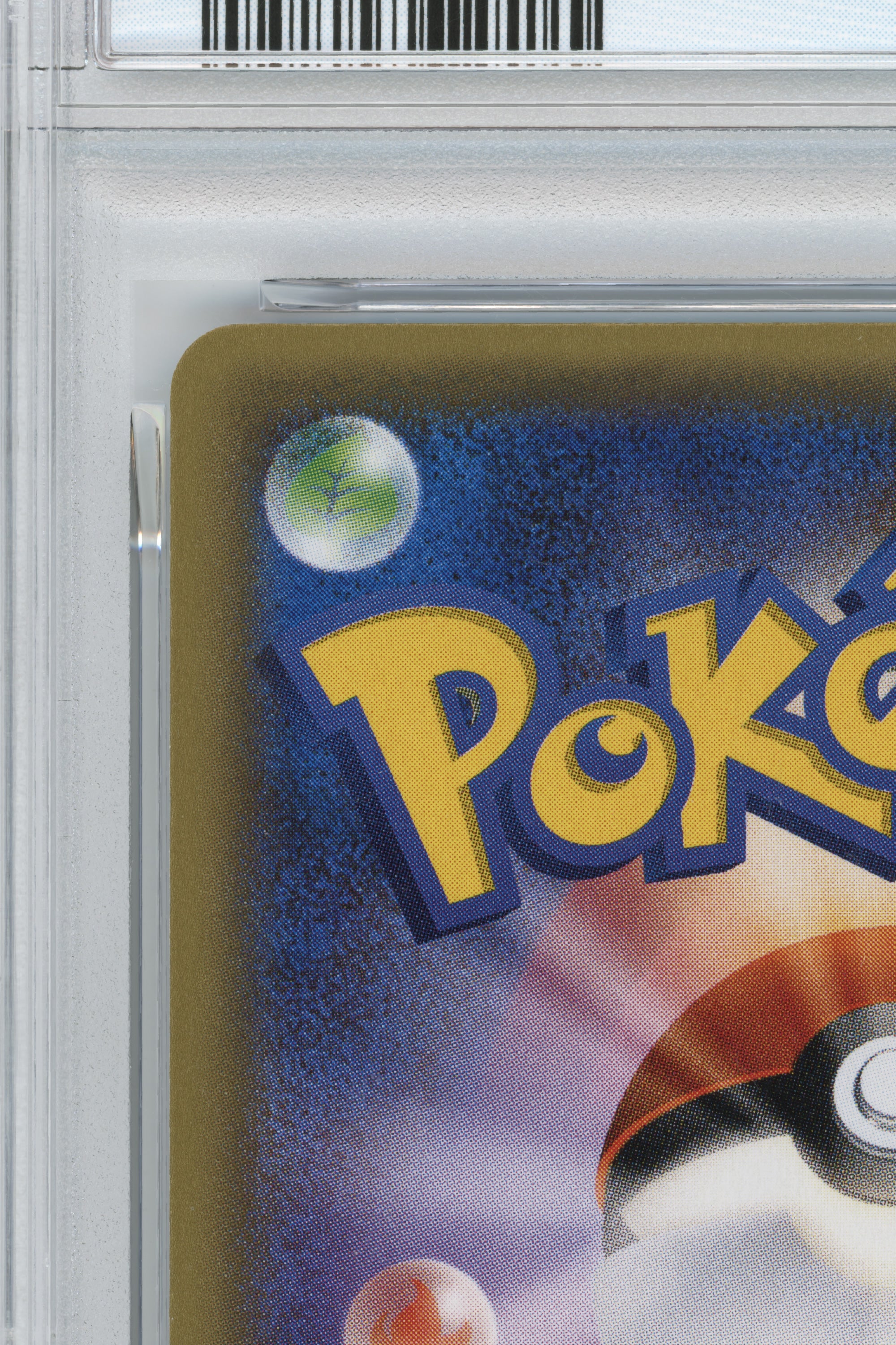 Poncho-Wearing Pikachu – Rayquaza Poncho Wearing Pikachu Box (230/XY-P) (JP)