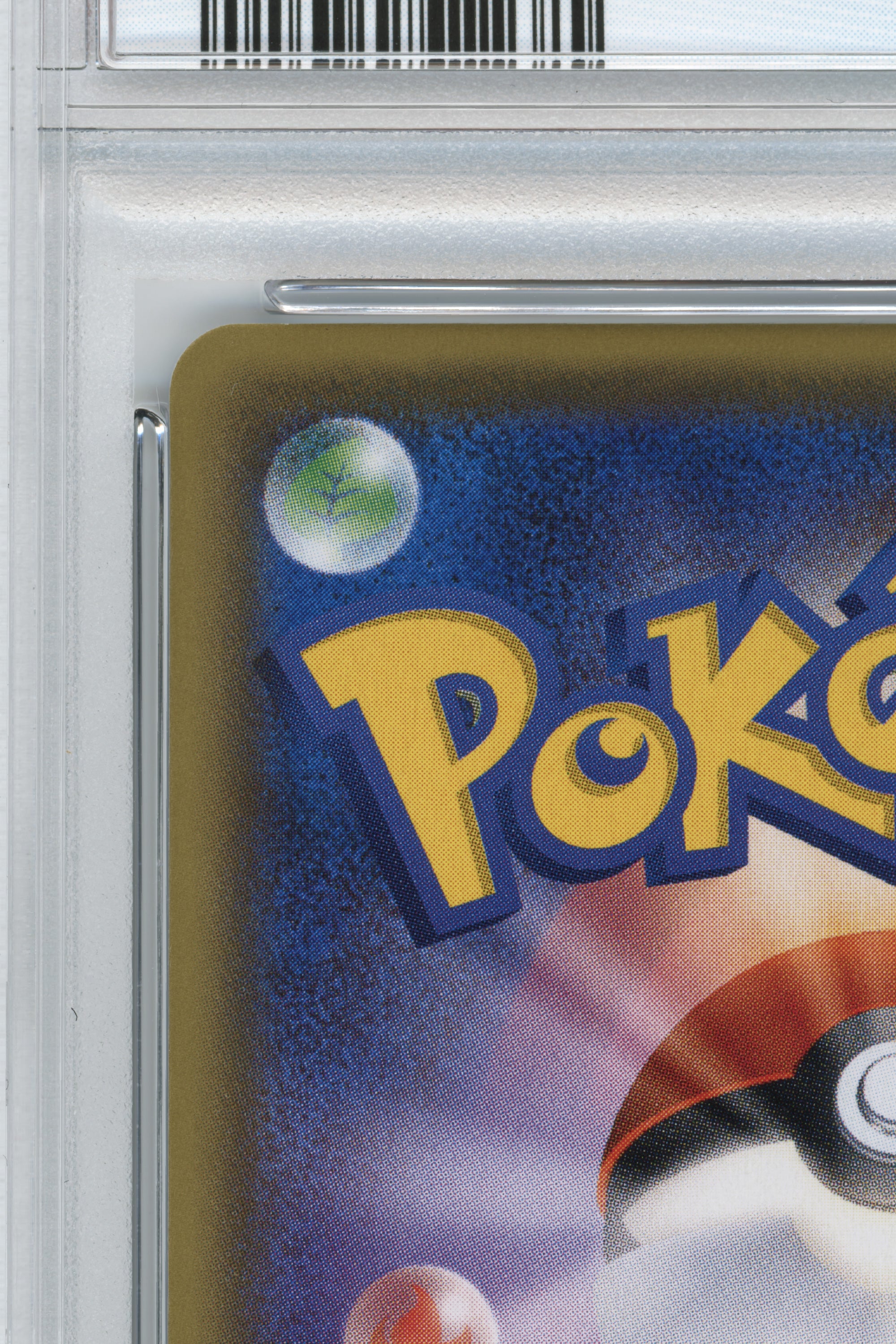 Luigi Pikachu – Luigi Pikachu Special Box (296/XY-P) (JP)
